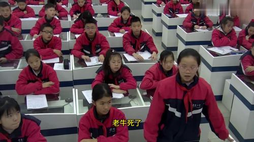 五年级上册《牛郎织女二》部编版公开课优质课-新课标语文