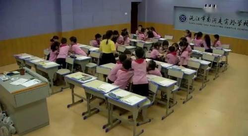 《观察植物》优质课教学视频-教科版一年级科学上册