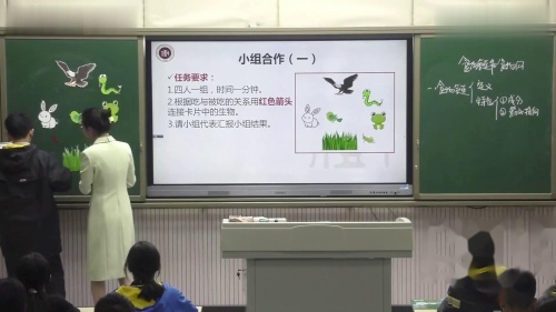 《食物链和食物网》人教版八下生物公开课优课视频