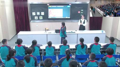 《动物的运动》人教版八上生物公开课视频