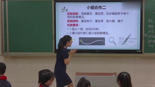 《种子的结构和种子的萌发》人教版七上生物公开课优课视频