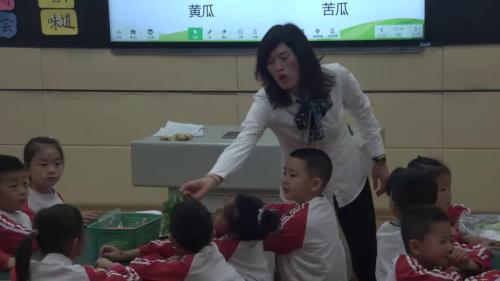 《我和蔬菜交朋友》优质课教学视频-三年级综合实践