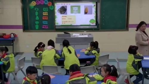 《通过感官来发现》优质课教学视频-教科版二年级科学上册