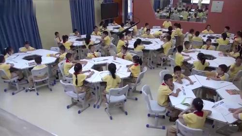 《土壤-动植物的乐园》观摩课教学视频-教科版二年级科学上册