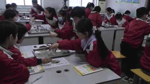 《土壤的组成》优质课教学视频-冀教版四年级科学