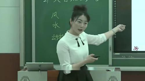 《大自然的声音》部编版语文三年级上册优质课视频