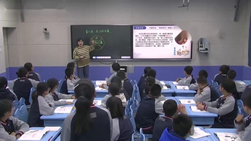 《东汉的兴衰》优质课教学视频-部编版七年级历史上册