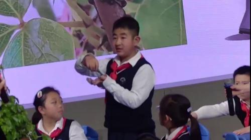 《观察植物》观摩课教学视频-苏教版六年级科学-江苏省小学科学教学研讨活动