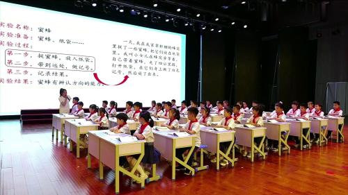 全国第九届整合教学新课标任务群课例《我做了一项小实验》部编版语文三下