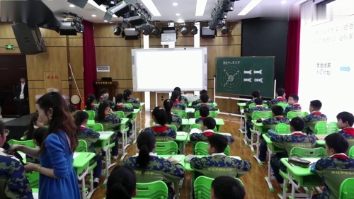 《围绕中心意思写》部编版语文六上新课标任务群习作