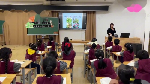 《识字 大小多少》部编版语文一上公开课示范课视频