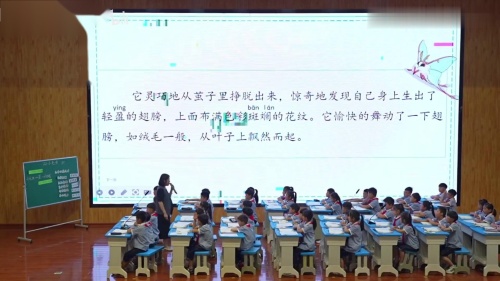 《小毛虫》部编版语文二年级下册新课标市级骨干教师展示课及说课