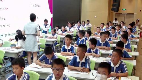 《Our pets 》2024初中英语绘本展示课视频