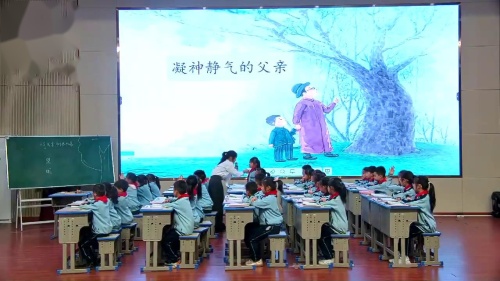 《父亲树林和鸟》部编版三上语文新课标赛课视频
