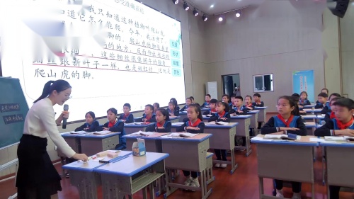 《爬山虎的脚》2024部编版四上语文新课标赛课视频