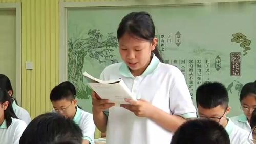 《第二次鸦片战争》部编版历史八上优质课视频