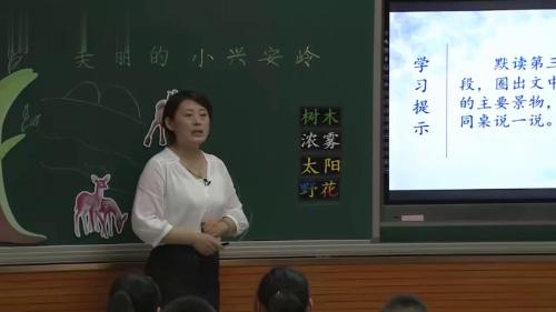 《美丽的小兴安岭》部编版语文三上-2023优质课视频