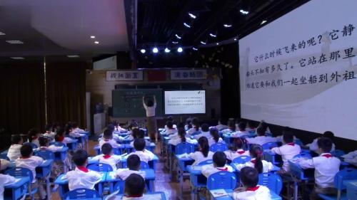 《搭船的鸟》部编版三上语文新课标任务群优质课视频