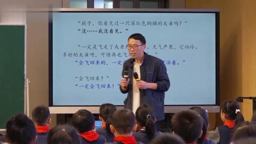 《灰雀》部编版语文三上新课标名师示范课-特级教师-蒋军晶