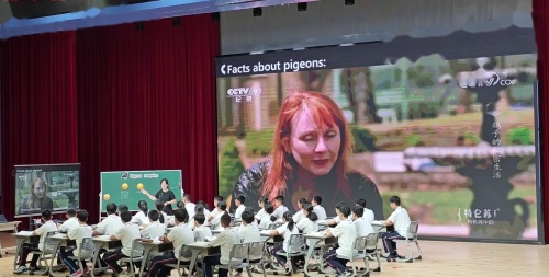 《Unit 5 Pigeon surprise》2024外研版七上英语新教材培训研讨课优课视频