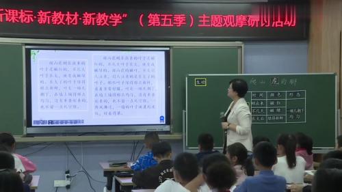 《爬山虎的脚》第一课时-部编版四上语文-2024江苏省小学语文新课标课例观摩