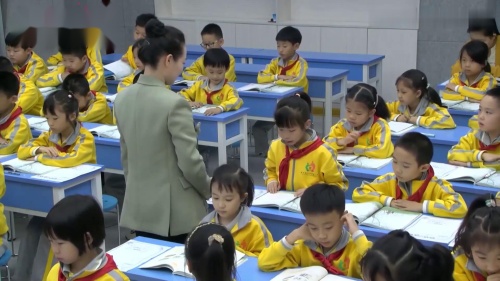 《父亲、树林和鸟》部编版语文三上新课标示范课视频