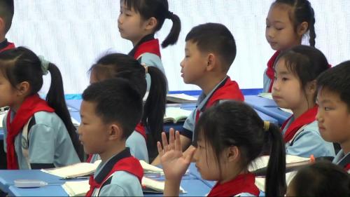 《海底世界》2024部编版三下语文阅读课任务群课例视频