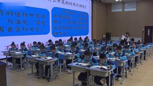 《花钟》2024部编版三下语文新课标研讨课优课视频