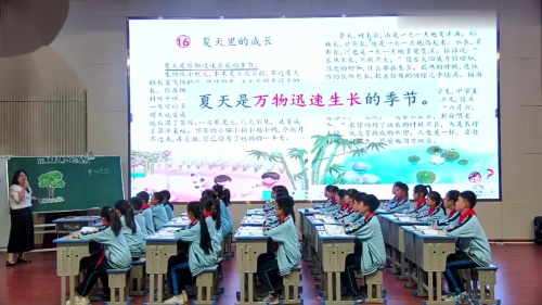 《夏天里的成长》2024部编版六上语文任务群优质课视频