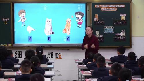 《A Pet for Princess Pam Lesson1 At the pet shop 》义务教育教科书广州版一上英语展示课视频