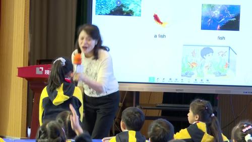 《Amazing Animals》译林版三上英语展示课视频