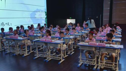 《开在诗里的花》部编版二下语文整合教学优课视频