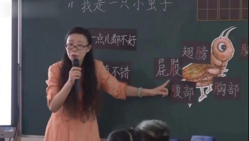 《我是一只小虫子》部编版语文二下观摩课优质课