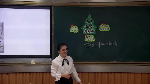 《看!植物有办法》部编版一下语文整本书阅读分享课