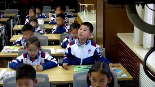 《鸟是人类的朋友》2024人教版一下美术展示课视频