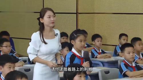 《雷锋叔叔，你在哪里》部编版语文二下新课标学习任务群公开课视频