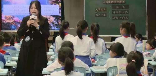 《富饶的西沙群岛》2025部编版三上语文展示视频