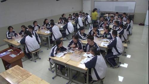 《化学是一门以实验为基础的科学》人教版化学九下-王老师-山东省公开课