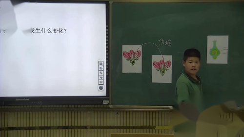 1第５节 植物生殖方式的多样性第1学时