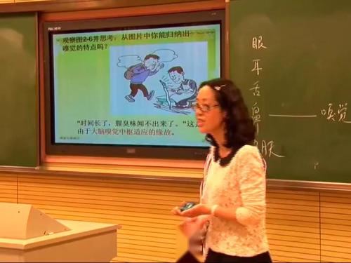 2 1《感觉世界》浙教版科学七下-王老师-浙江部级公开课