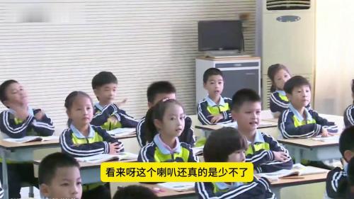 《动物王国开大会》第二课时-部编版语文公开课五年级下册优质课