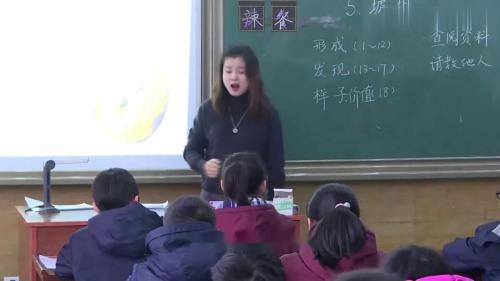 《琥珀》部编版语文四下公开课优质课-国赛一等奖