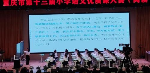 《白鹅》部编版四想语文观摩课视频