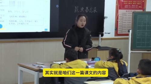 三年级下册《昆虫备忘录》部编版语文公开课优质课