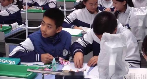 《被子植物的一生-开花何结果》人教版七下生物2025研讨课视频
