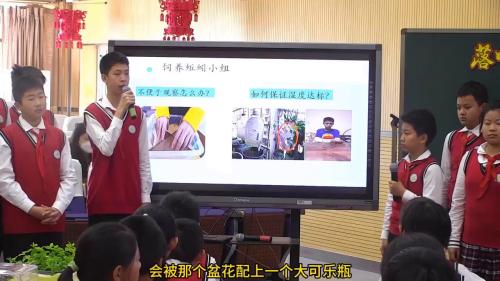 《落叶处理我有招》粤教版六下综合实践表现型评价在实践中的应用2025研讨课视频