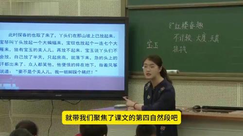 五年级下册《红楼春趣》部编版语文公开课优质课