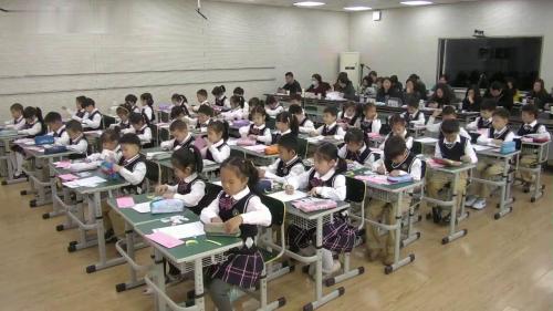 《分类》2025人教版二下数学公开课优质课