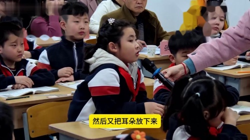 二年级语文《大象的耳朵》2025部编版语文公开课优质课