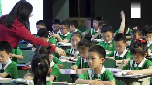 《荷叶圆圆》2025部编版语文公开课优质课一年级下册